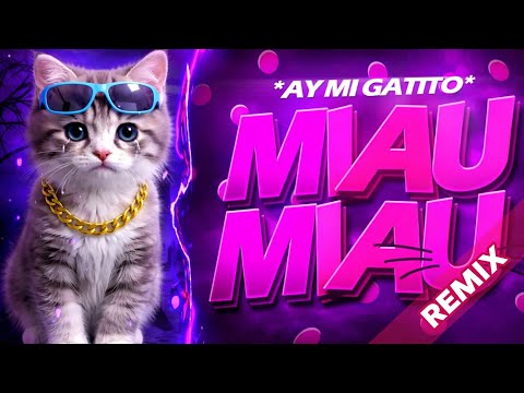 AY MI GATITO - Miau Miau - VERSÃO //FUNK REMIX// Dj Hugo