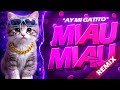 AY MI GATITO Miau Miau VERSÃO FUNK REMIX Dj Hugo