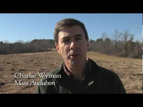 Help Save Sibley Farm - Spencer, MA