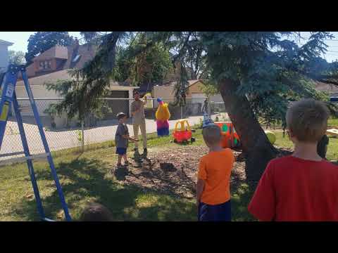 D Piñata #2