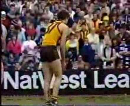VFL 1985 R 21 - Hawthorn v Carlton