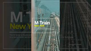 Williamsburg Bridge & M Train in NY
