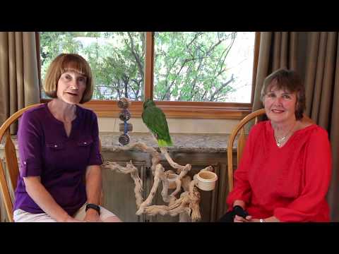 Save Companion Parrots through Rescue & Education