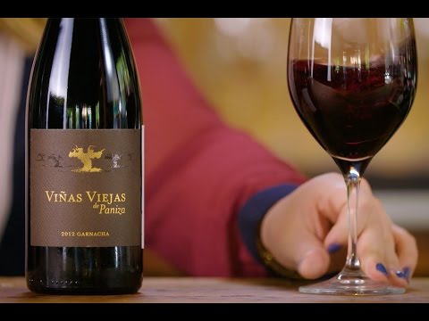 Spotlight: Garnacha From Cariñena
