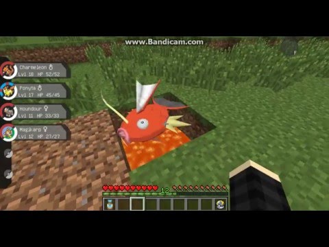 Pixelmon #10 The Burnt Magikarp