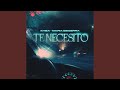 Te Necesito Te Necesito