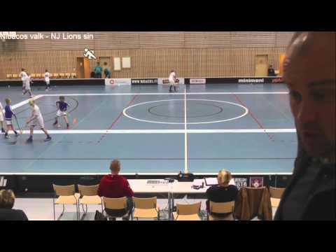 Nibacos 04 loppuhuipennus 9.4.2016 Hollihaka