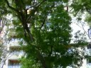 NATURE PART 1