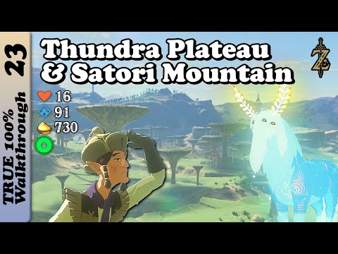 Ridgeland Tower Full 100% Completion Walkthrough Zelda Breath of The Wild BotW