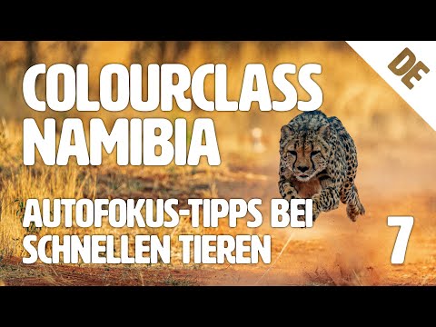 Tierfotografie - schnelle Tiere 📷 Tipps von EIZO | Colourclass Namibia: Folge 7