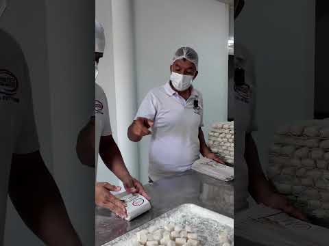 🎥 ANDALUCÍA: LA TIERRA DE LA GELATINA Y LAS IGUANAS LIBRES 🦎✨  #12