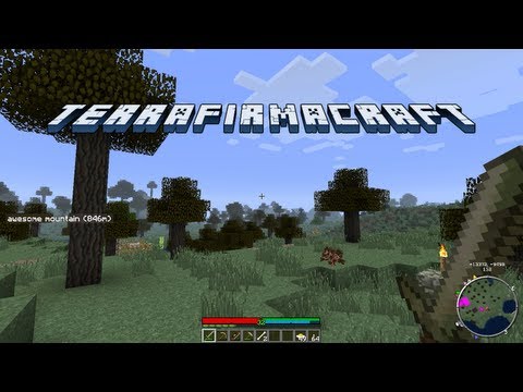 TerraFirmaCraft - Episode 23 - The Durp hut