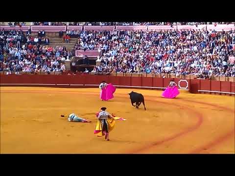 Jose Padilla atacked by bull (Bullfighting - Sevilla; 2015/04)