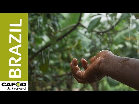 Voices from Brazil: struggling for indigenous rights and surviving climate change | CAFOD