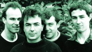 The Chills - Rolling Moon (Peel Session)