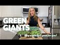 Green Giants Longevity On A Plate