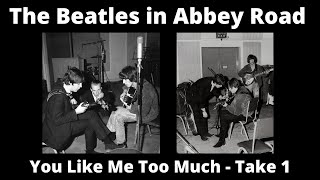 WOW! - BEATLES OUTTAKE  -  You Like Me Too Much - Take 1