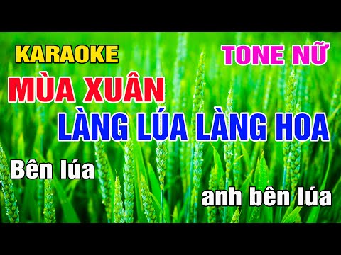 Mùa Xuân Làng Lúa Làng Hoa Karaoke Tone Nữ Nhạc Sống gia huy karaoke