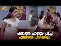 എടുത്ത് ചാടിയ പൂച്ച എലിയെ പിടിക്കില്
