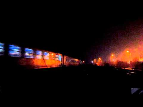 Goarna Mitraliera - GM 65-0989-7 (Autumn Edition)