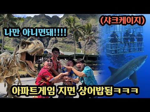 하와이 여행중 역대급 레전드 벌칙들 총집합한 복불복 게임ㅋㅋㅋ야생상어 한테 물릴 사람은...?