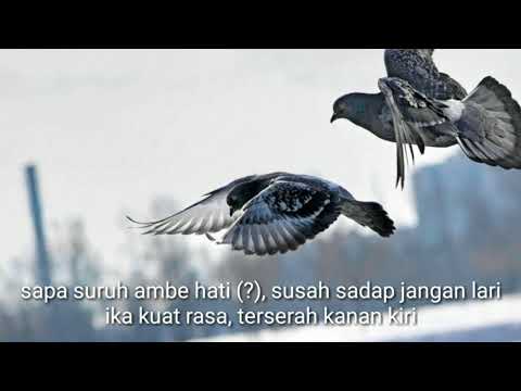 Banext S.R - Until The End (Official Music & Lyric)