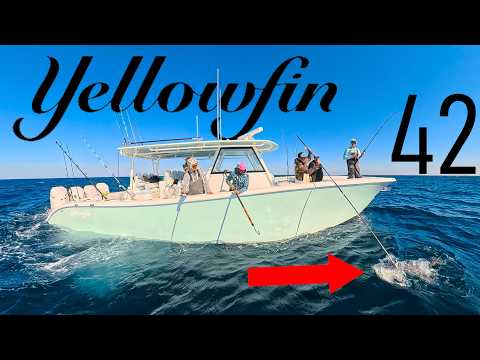 Fishing for Fresh SUSHI on the 42 Yellowfin - This Boat Could Be Yours