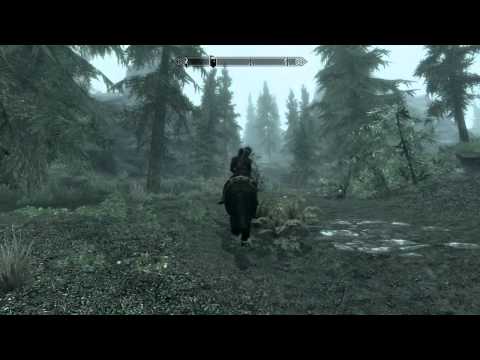 Let's Play Skyrim [Blind] #146 - Allie ist keine Bergziege