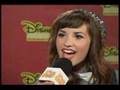 Disney 365 Disney Mania