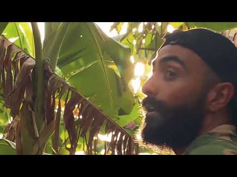 Lowa Letta - Zoom Zoom (Music Video)