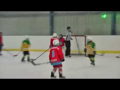 2009 - Zápas s HC Rodos Dvůr Králové n. L. (6.1.2019)