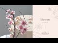 Blossom Sugar Flower Tutorial (Gumpaste / Flower Paste)