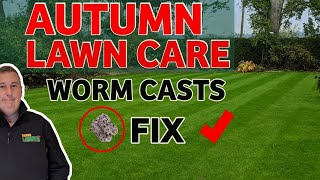 HOW TO GET THE MOST OUT OF YOUR LAWN THIS AUTUMN //Autumn lawn fertilizer // worm casts