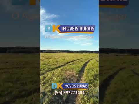 Arrendamento Rural | Oportunidades em Santana do Livramento, Santo Antônio das Missões e São Gabriel