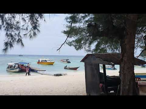 Just arrived Fauna Beach Chalet