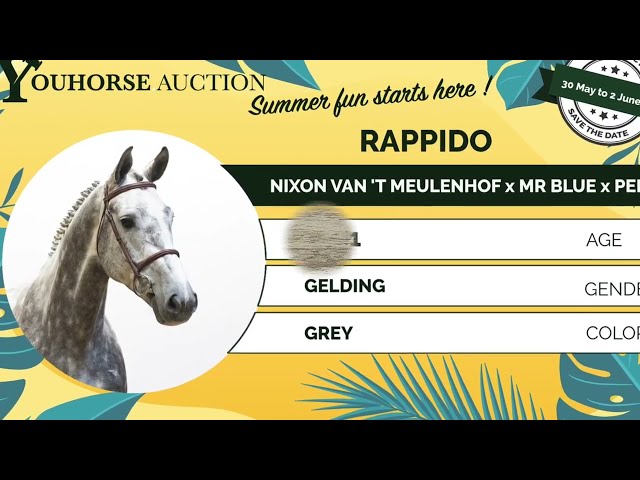 Rappido showvideo