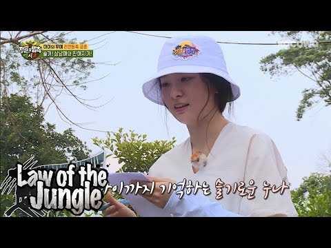 law of the jungle jackson eng sub law of the jungle jackson eng sub