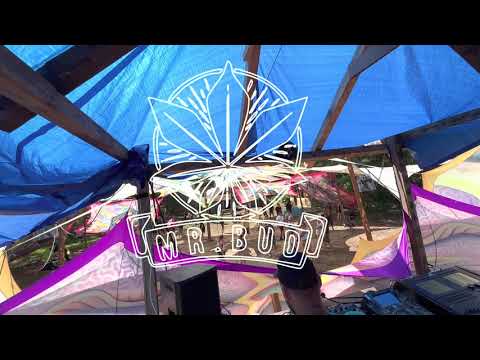 Goarilla - Orange Sun Set 02.07.2022