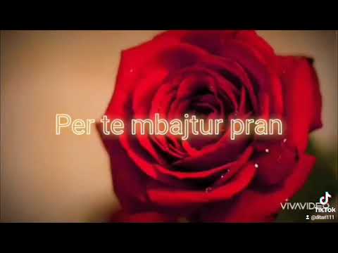 Thënie të vërteta _ ditari11