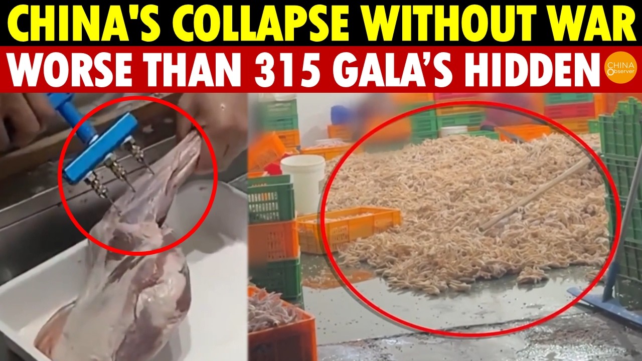 China's Collapse Without War—Fake, Toxic Food Destroys All! Worse Things Hidden From 2026’s 315 Gala