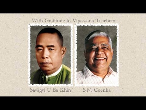 Vipassana Voyage. Video #8. 2-Years Milestone. The Journey Unexpectedly Intensifies. Feb 2020