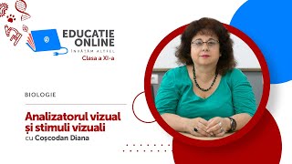 Analizatorul vizual și stimuli vizuali