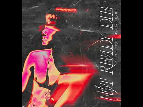 P2X - NOT READY DIE Feat. OVERSIXE , VAMHIGH , T800 ( Freestyle )