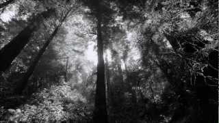 Massive Attack feat. Burial - Four Walls