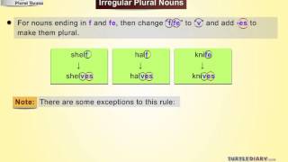 plural Facts For Kids | DIY.org