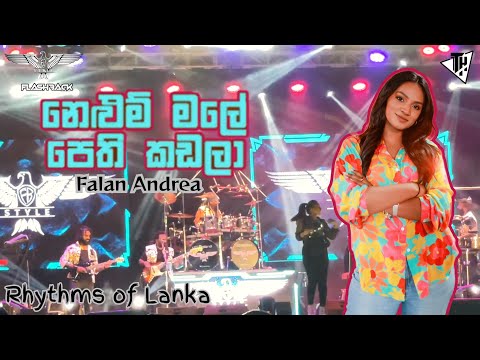 Nelum male pethi kadala (නෙළුම් මලේ පෙති කඩලා) | Falan Andrea | Flashback #livemusic #flashback