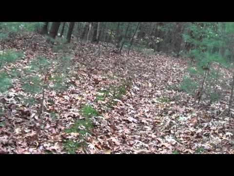 Bay Circuit Trail Framingham MA Henry's Hill Part 1.