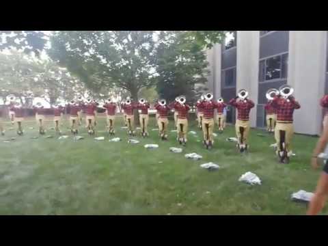 Blue Stars 2019 | Hornline | Tour of Champions DeKalb, IL