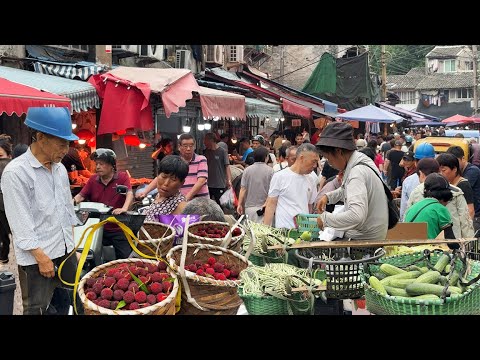 在浙江温州早市上能吃到什么？【阿林去赶集】