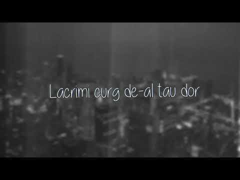 Theo Rose & Nadir - Când stelele cad Lyric Video